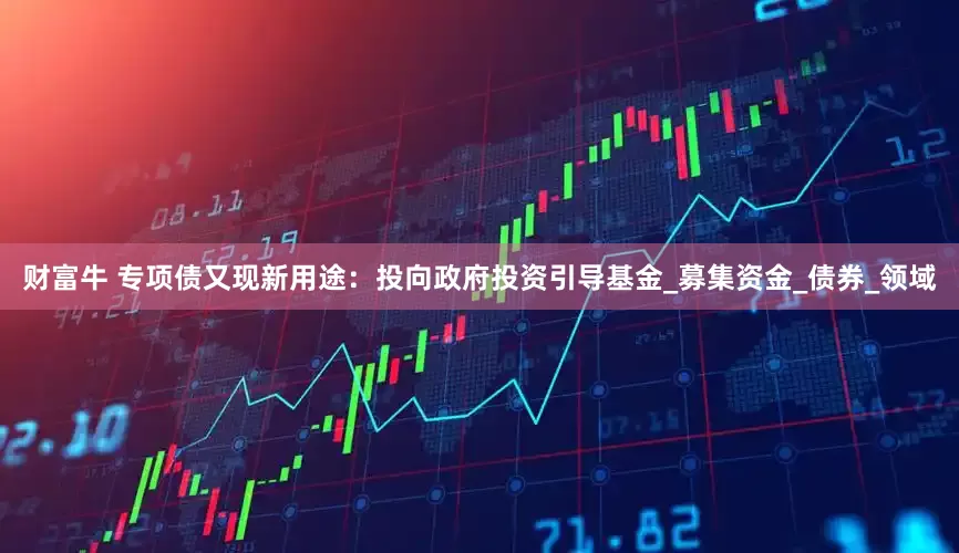 财富牛 专项债又现新用途：投向政府投资引导基金_募集资金_债券_领域