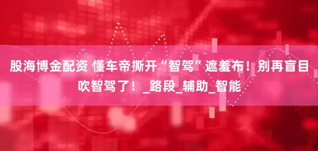 股海博金配资 懂车帝撕开“智驾”遮羞布！别再盲目吹智驾了！_路段_辅助_智能